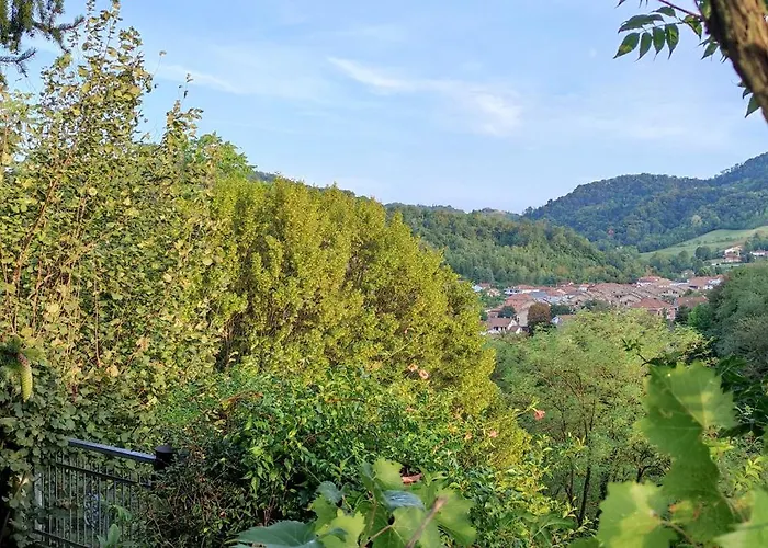 Area Relax
