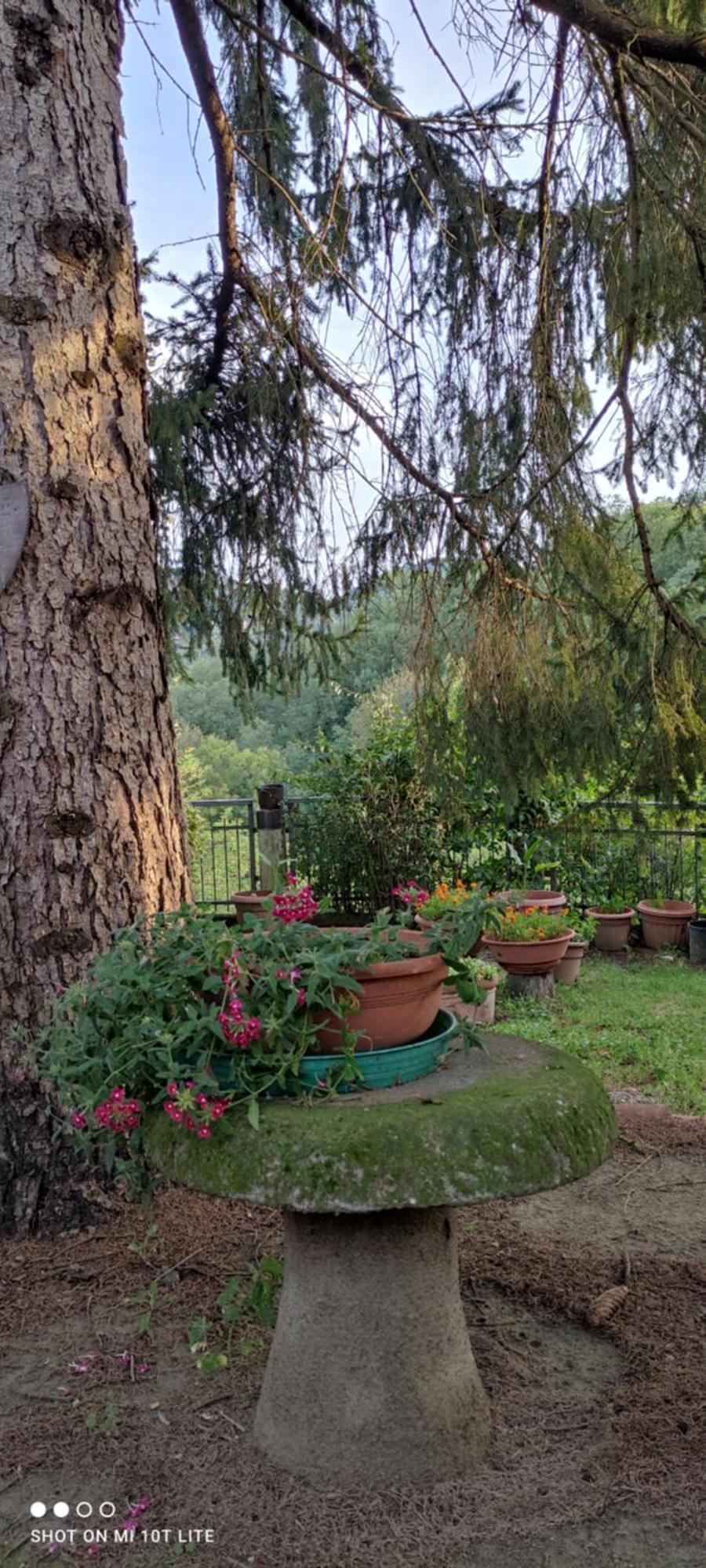Area Relax *
